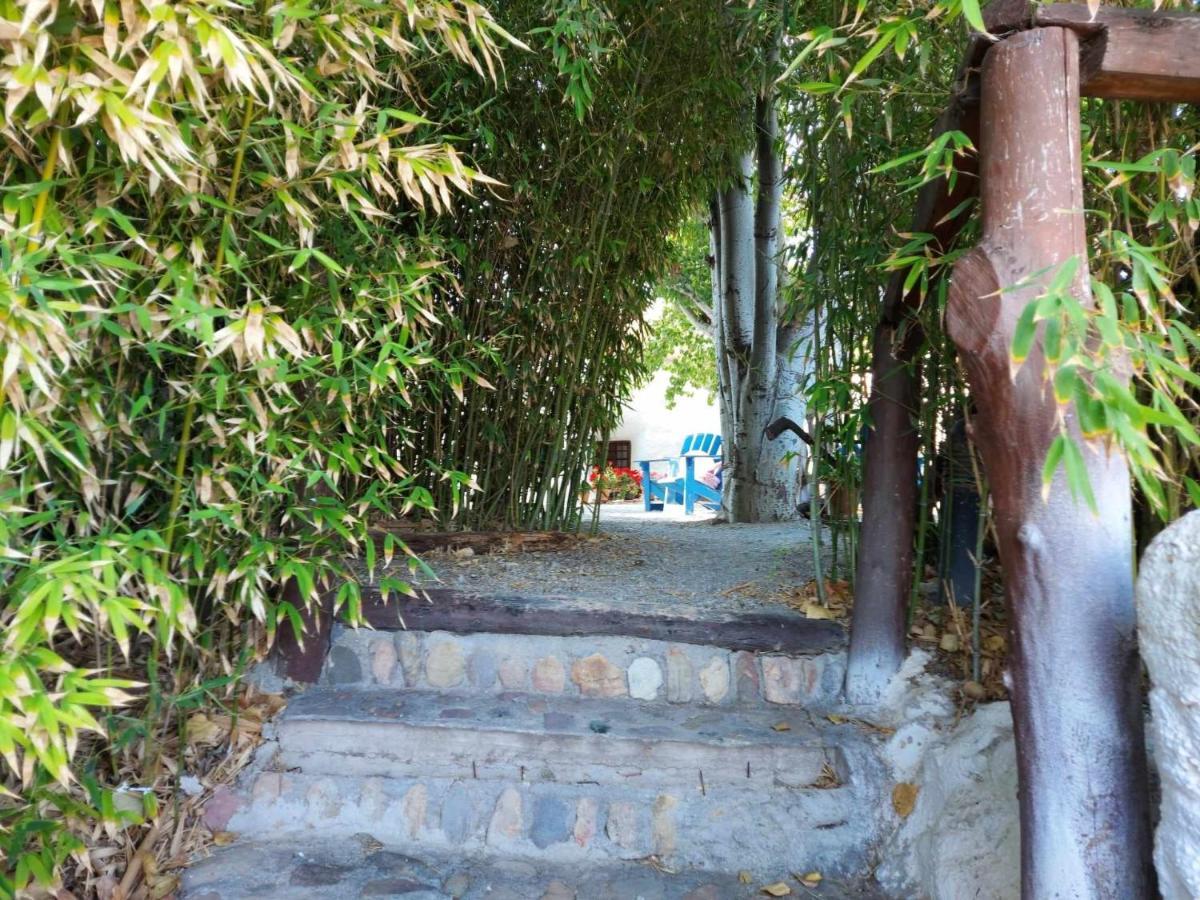 באזה Cueva El Guindas מראה חיצוני תמונה